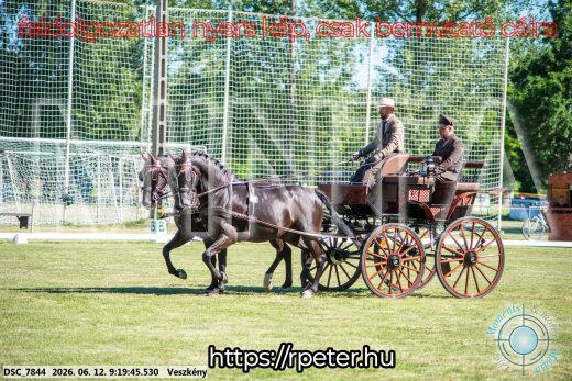 Mintakép 20260612-226