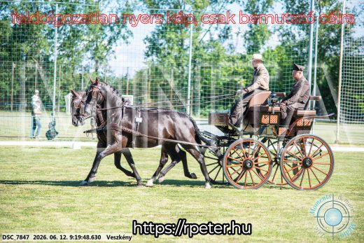 Mintakép 20260612-227