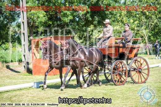 Mintakép 20260612-230