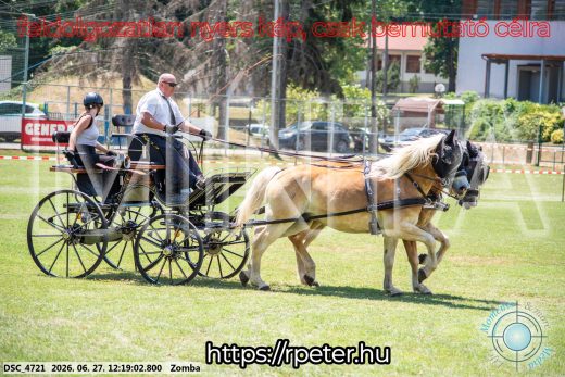 Mintakép 20260627-402