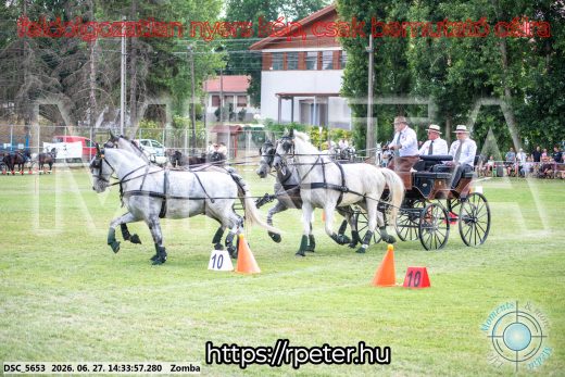 Mintakép 20260627-446