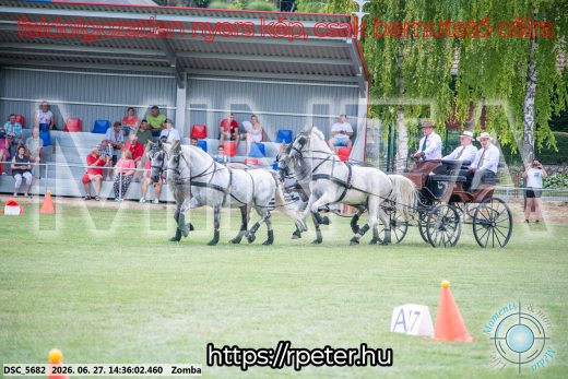 Mintakép 20260627-497