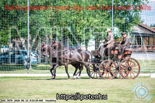 Mintakép 20260612-242