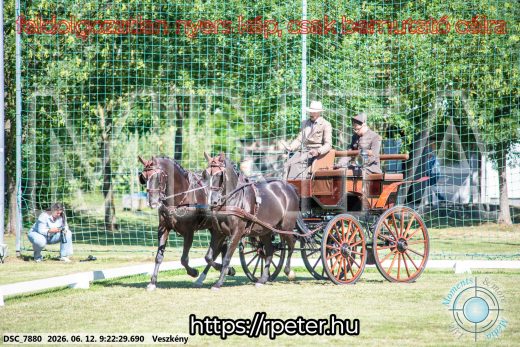 Mintakép 20260612-243