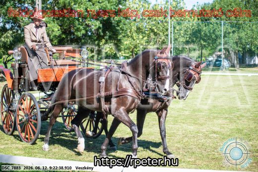 Mintakép 20260612-246