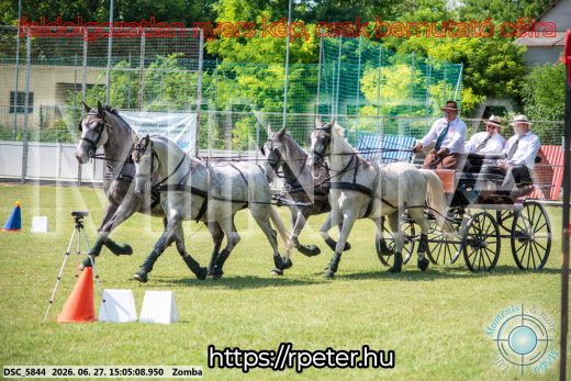 Mintakép 20260627-551