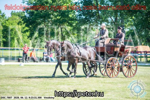 Mintakép 20260612-248