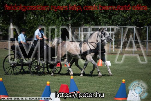 Mintakép 20260627-560