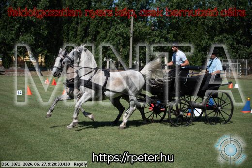 Mintakép 20260627-563