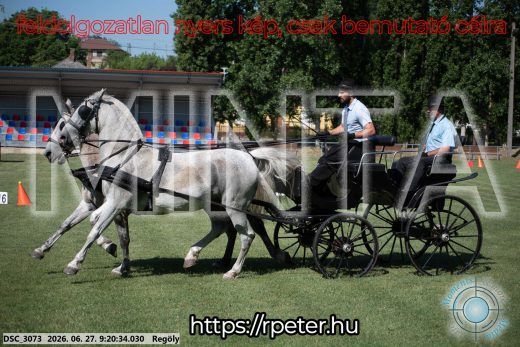Mintakép 20260627-564