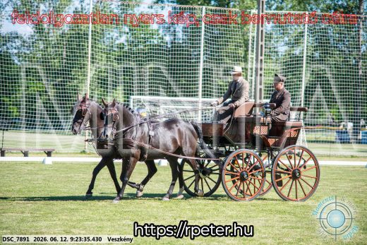 Mintakép 20260612-249