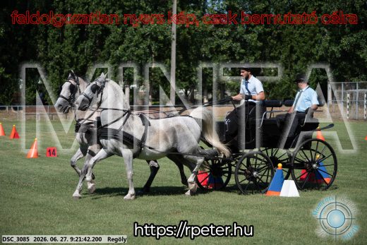Mintakép 20260627-575