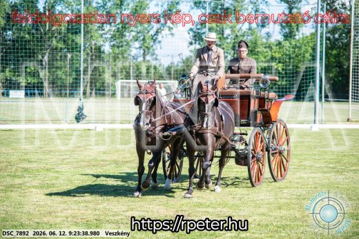 Mintakép 20260612-250