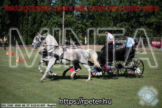 Mintakép 20260627-585