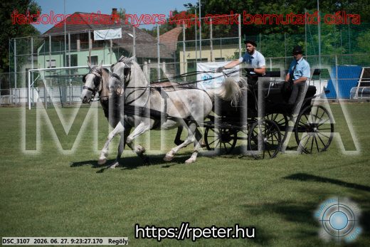 Mintakép 20260627-589