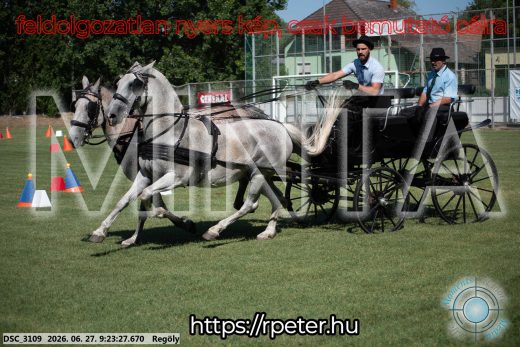 Mintakép 20260627-590