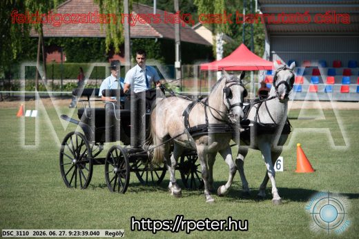 Mintakép 20260627-591