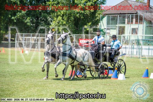 Mintakép 20260627-597