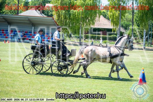 Mintakép 20260627-604