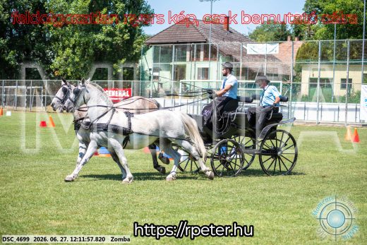 Mintakép 20260627-606