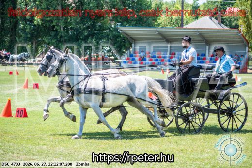Mintakép 20260627-608