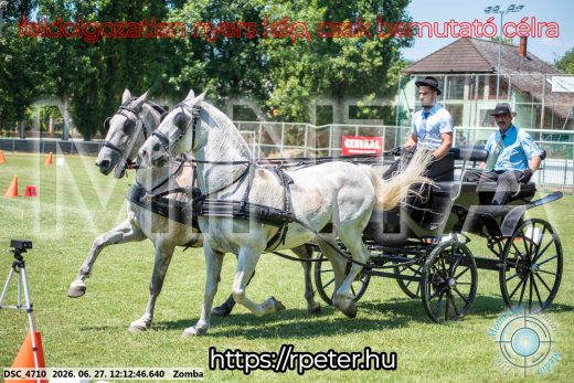 Mintakép 20260627-615
