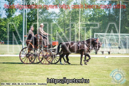 Mintakép 20260612-255