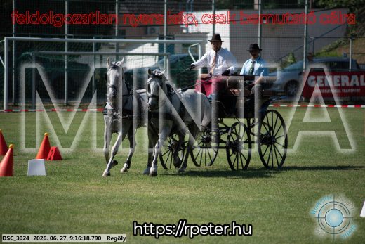 Mintakép 20260627-633