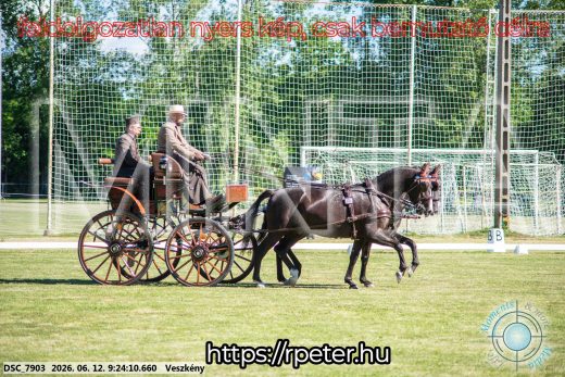 Mintakép 20260612-256