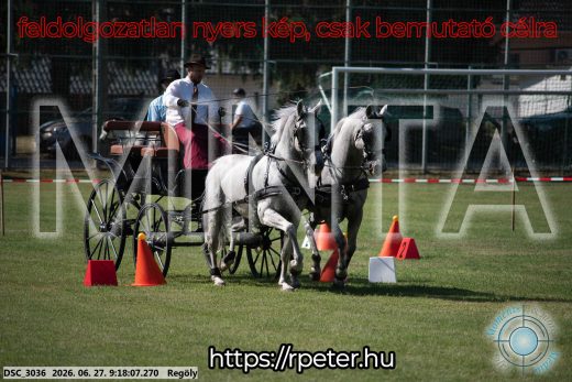 Mintakép 20260627-642