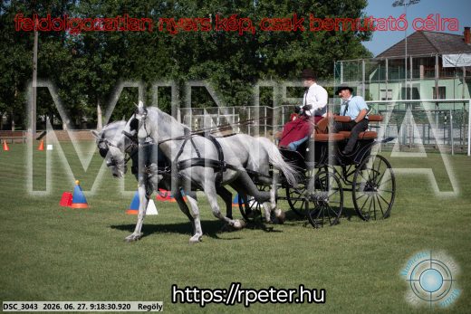 Mintakép 20260627-647