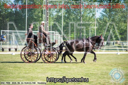 Mintakép 20260612-259
