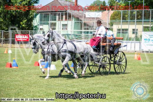 Mintakép 20260627-674