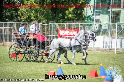 Mintakép 20260627-677