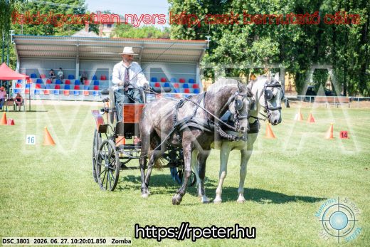 20260627-102001-DSC_3801.jpg