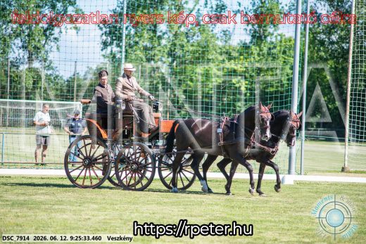 Mintakép 20260612-262