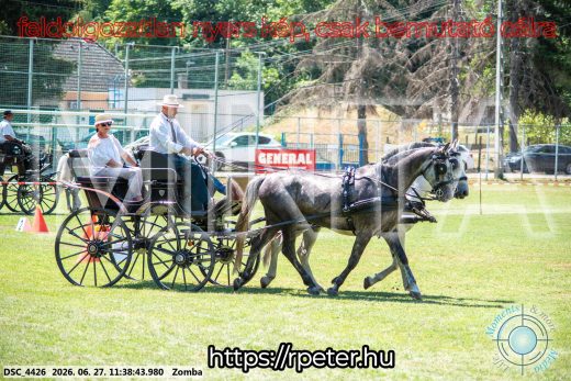 Mintakép 20260627-708