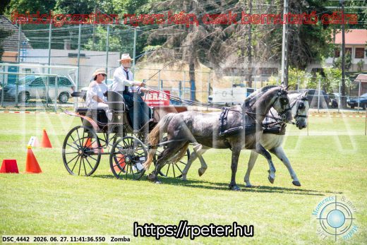 Mintakép 20260627-717