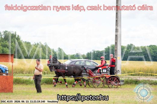 Mintakép 20260613-380