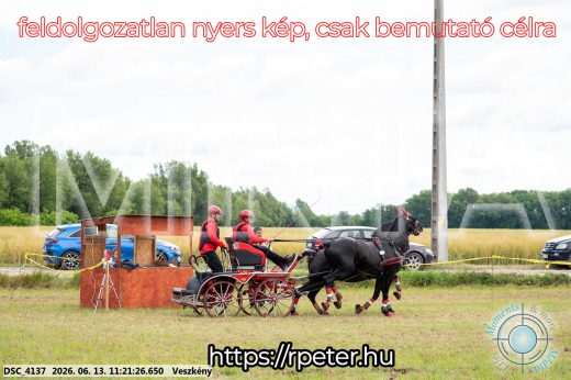 Mintakép 20260613-382