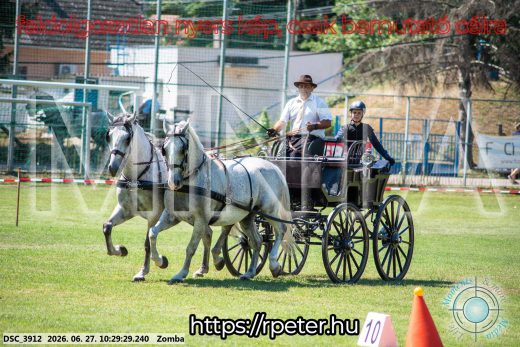 20260627-102929-DSC_3912.jpg