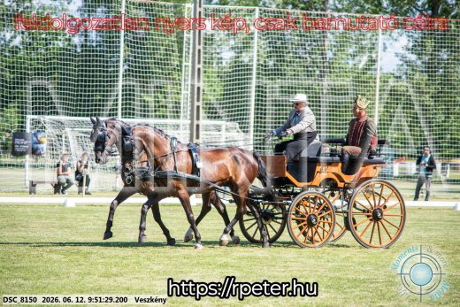 Mintakép 20260612-339