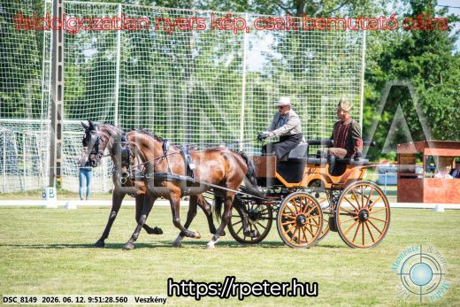 Mintakép 20260612-338