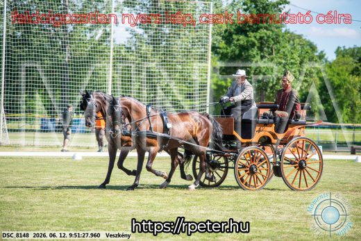 Mintakép 20260612-337