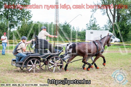 Mintakép 20260613-88