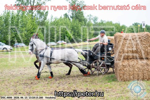 Mintakép 20260613-79