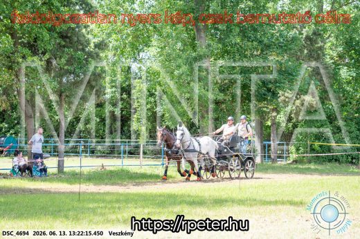 Mintakép 20260613-105