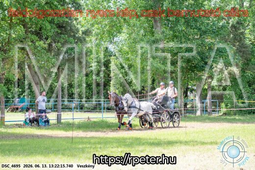 Mintakép 20260613-86